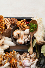 Tasty raw mushrooms collection. Healthy food concept