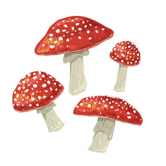 Mushroom in Hand-drawn style set , Drawing of food elements for design menu label packaging . icons vector illustration