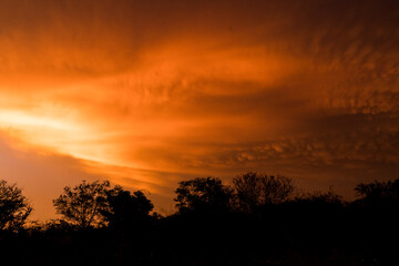 nubes mammatus