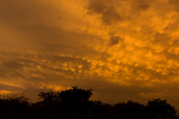 Fototapeta premium nubes mammatus