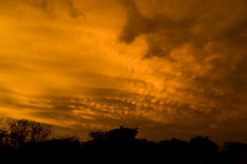 nubes mammatus