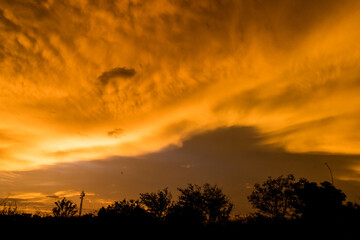 nubes mammatus