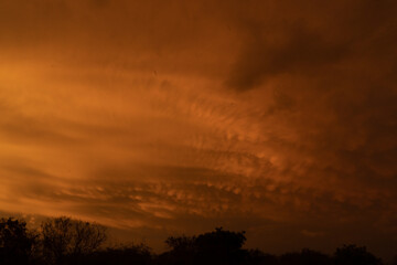 nubes mammatus