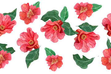 A pomegranate flower with green leafs seamless banner isolated on white. The hand-painted watercolor vibrant artwork ideal for botanical prints, wrapping paper, cards, textile and decor. Summer clip