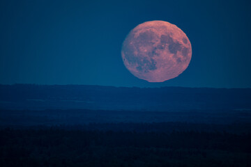 A large, glowing full moon rises above a dark, misty forest, casting a serene light over the landscape. The sky is a deep blue, creating a striking contrast with the moon's pinkish hue.