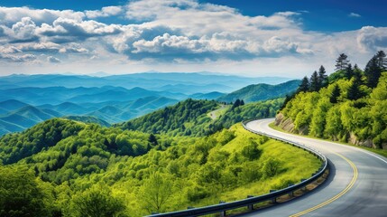 Fototapeta premium road blue ridge parkway asheville