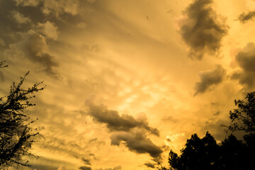 Nubes