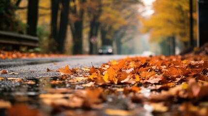 autumn slippery roads