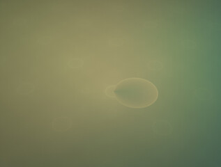 Imaginatory fractal abstract background Image