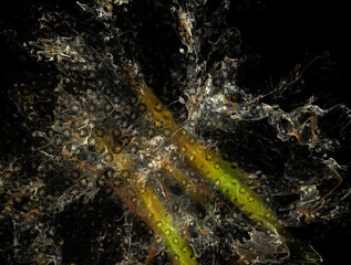 Imaginatory fractal abstract background Image