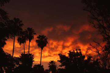 Fototapeta premium nubes