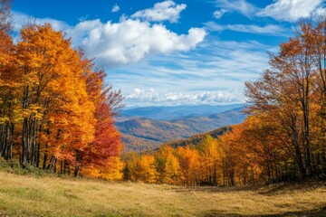 Colorful autumn fall foliage at the mountains