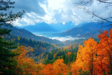 Colorful autumn fall foliage at the mountains
