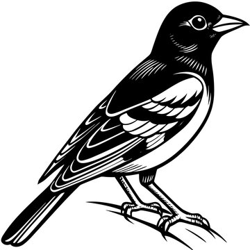 recommend clip art: Oriole bird silhouette vector illustration on white background 