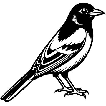 recommend clip art: Oriole bird silhouette vector illustration on white background 