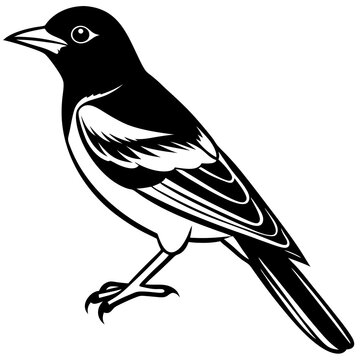 recommend clip art: Oriole bird silhouette vector illustration on white background 