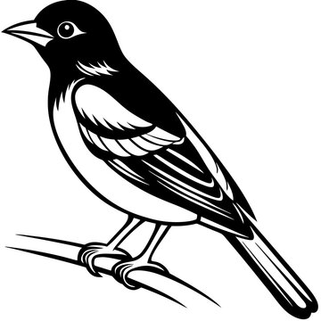 recommend clip art: Oriole bird silhouette vector illustration on white background 