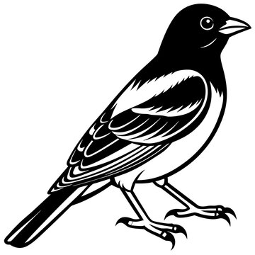recommend clip art: Oriole bird silhouette vector illustration on white background 