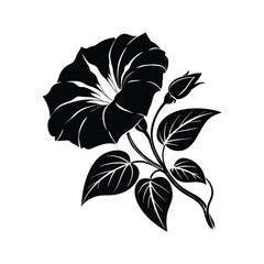 Morning Glory Silhouette Clean Design