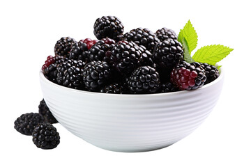 A Bowl of Freshly Picked Blackberries Ready to Eat on a White or Clear Surface PNG Transparent Background.