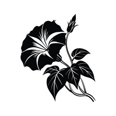 Morning Glory Silhouette Clean Design