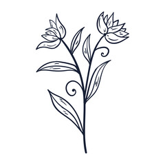 Hand drawn simple flower outline illustration