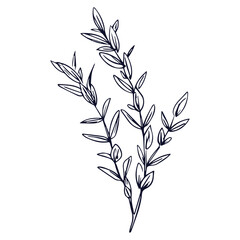 Flat design simple flower outline isolated