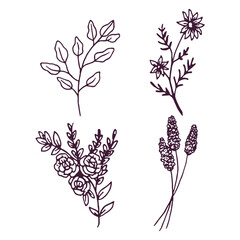 Hand drawn flower and leaf illustration collection