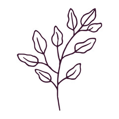 Hand drawn flower and leaf illustration