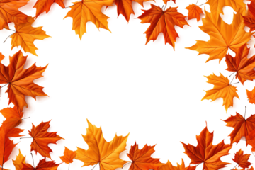 A Golden Frame of Autumn Leaves on a White Background on a White or Clear Surface PNG Transparent Background.