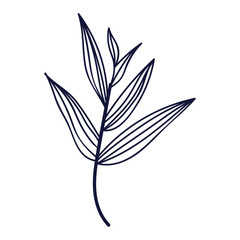 Hand drawn flower and leaf isolated illustration on the white background