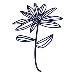 Hand drawn flower and leaf isolated on a white backkground