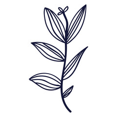 Hand drawn flower and leaf isolated on a white