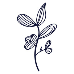 Hand drawn flower and leaf isolated on a white background