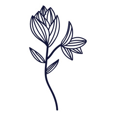 Hand drawn flower and leaf isolated on the white