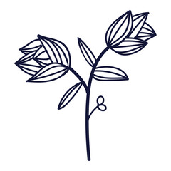 Hand drawn flower and leaves isolated on white background