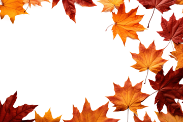 A Symphony of Autumn Leaves on a White Canvas on a White or Clear Surface PNG Transparent Background.