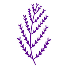 Hand drawn flat design simple flower outline isolated illustration on white