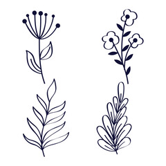 Hand drawn flat design simple flower outline isolated illustration collection