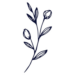 Hand drawn flat design simple flower outline on the white