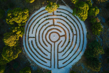 Aerial view of circular hedge maze surrounded by dense forest trees. Lavender labyrinth in...