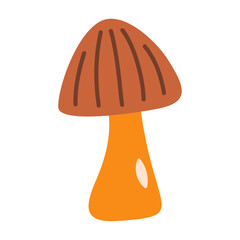 hand drawn mushroom isolated on a white background