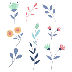 Hand drawn spring flower illustration collection
