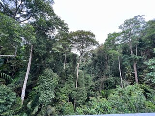 Fototapeta premium The Habitat Penang Hills Georgetown Malaysia