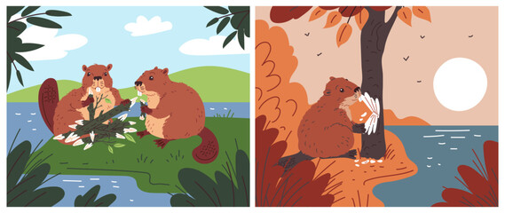 A vector collection of two illustrations depicting beavers in a forest with a river