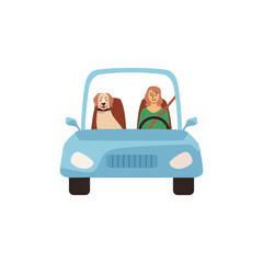 Woman driving with dog vector illustration