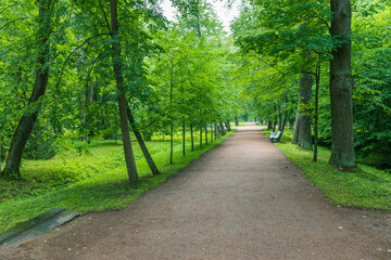 A gravel path meanders through a lush forest. Sunlight peeks through leaves, casting shadows. A bench at the end offers tranquility to visitors