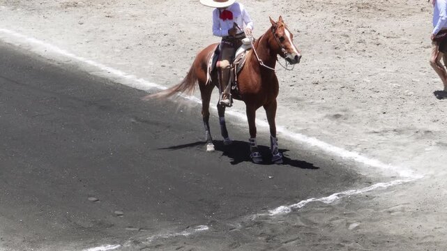 Isolated mexican male charro riding his horse at high speed and suddenly stopping. Charro performing a trick on his horse. Mexican traditional charro costume