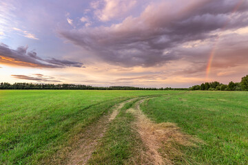 Obraz premium A rainbow appears in the sky over a field of grass
