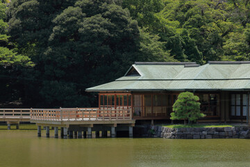 Obraz premium 都心散歩 浜離宮の木々と花々